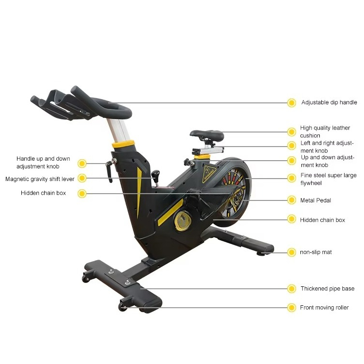 4단계 조절 가능한 벨트 드라이브 운동용 자전거 (체육 - Exercise Bike Magnetic Resistance 리뷰 및 가격
